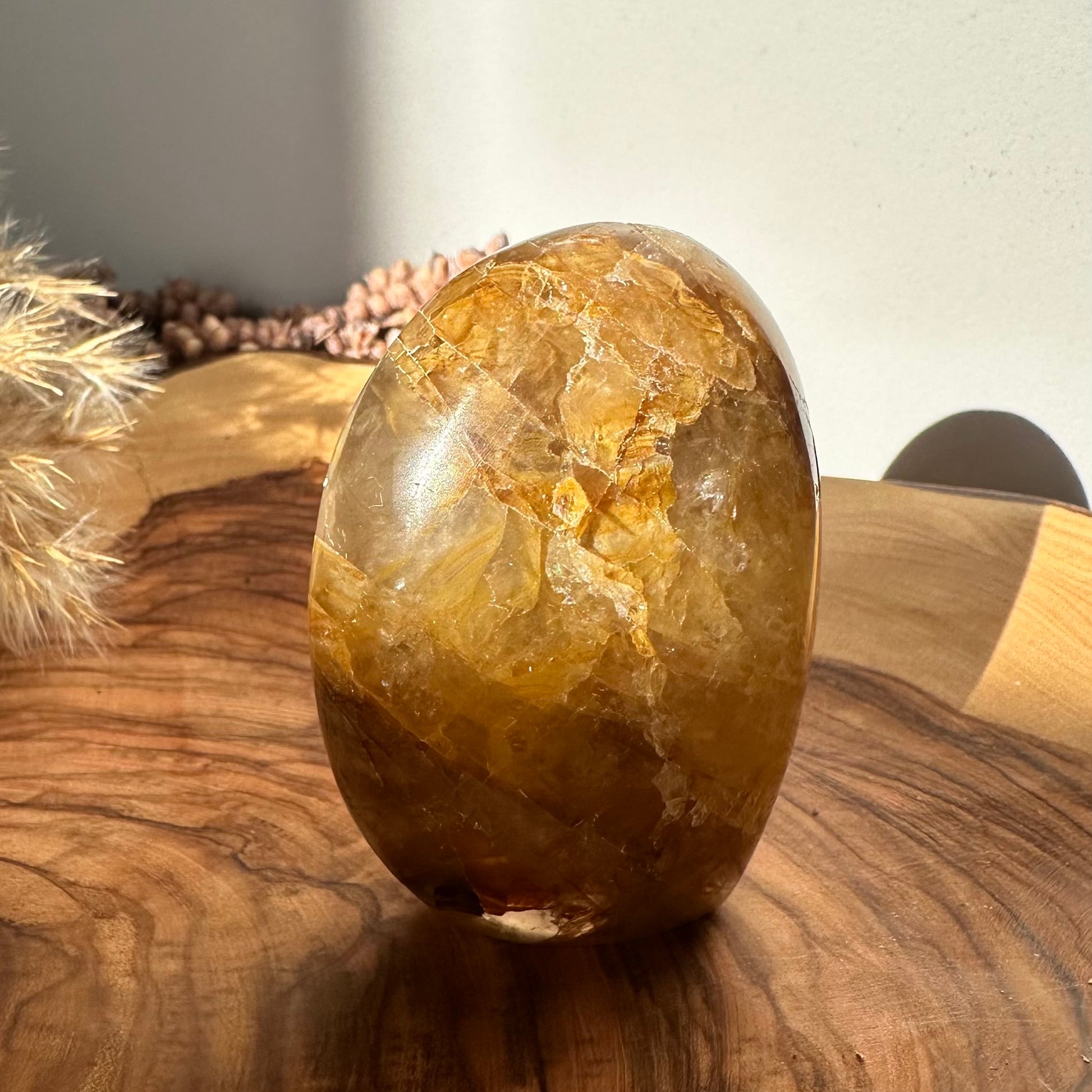 Golden Healer freie Form