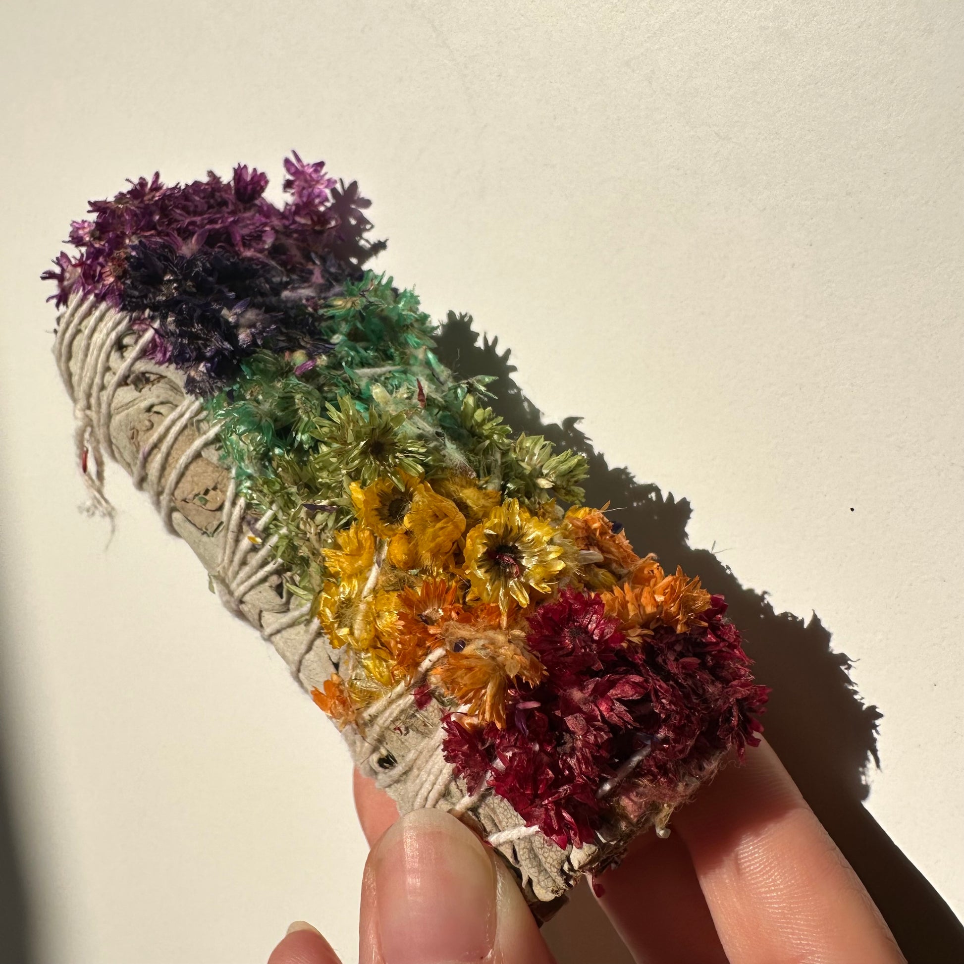 Weißer Salbei mit Königskerze